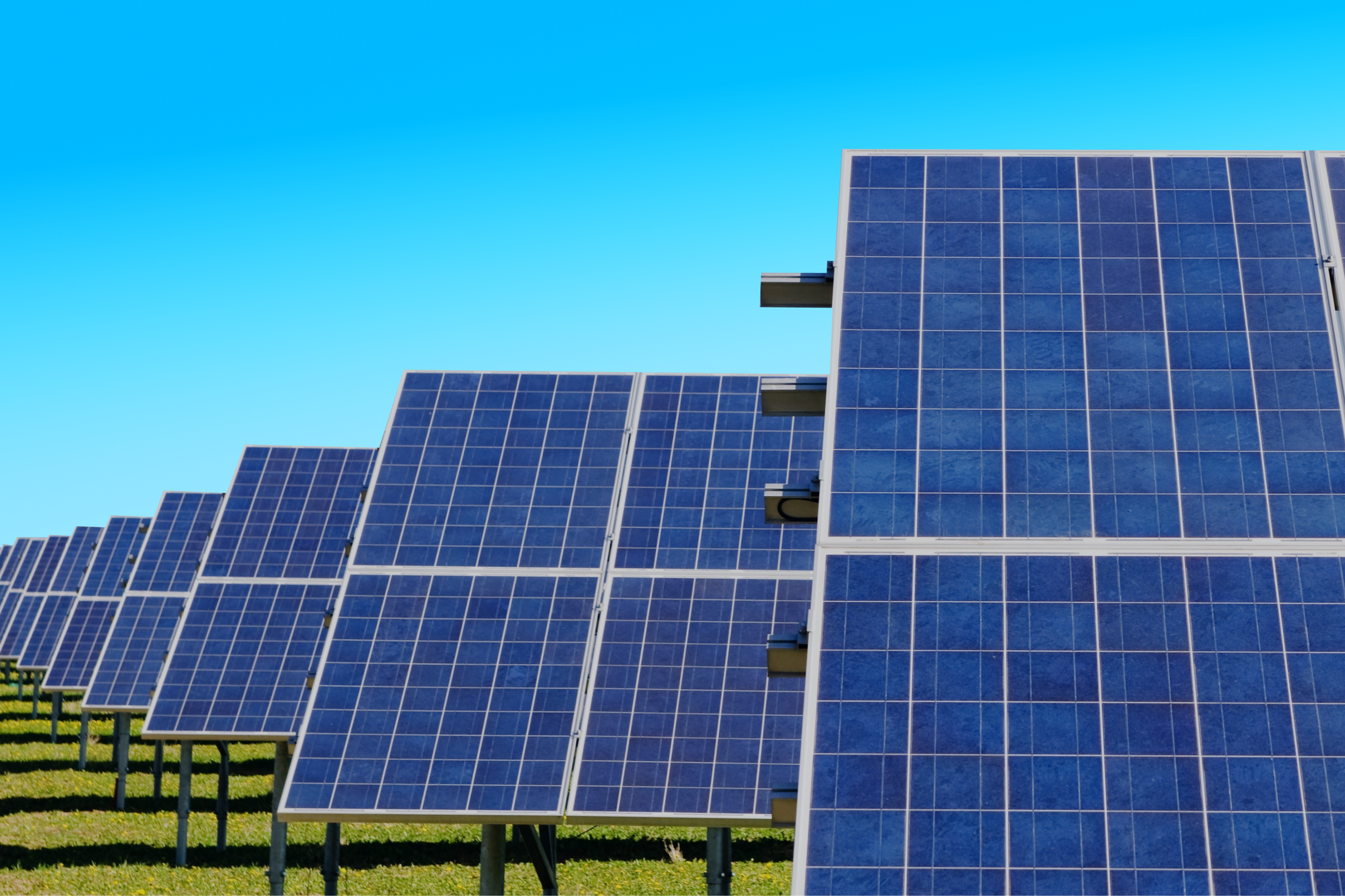 field with solar panels facing up